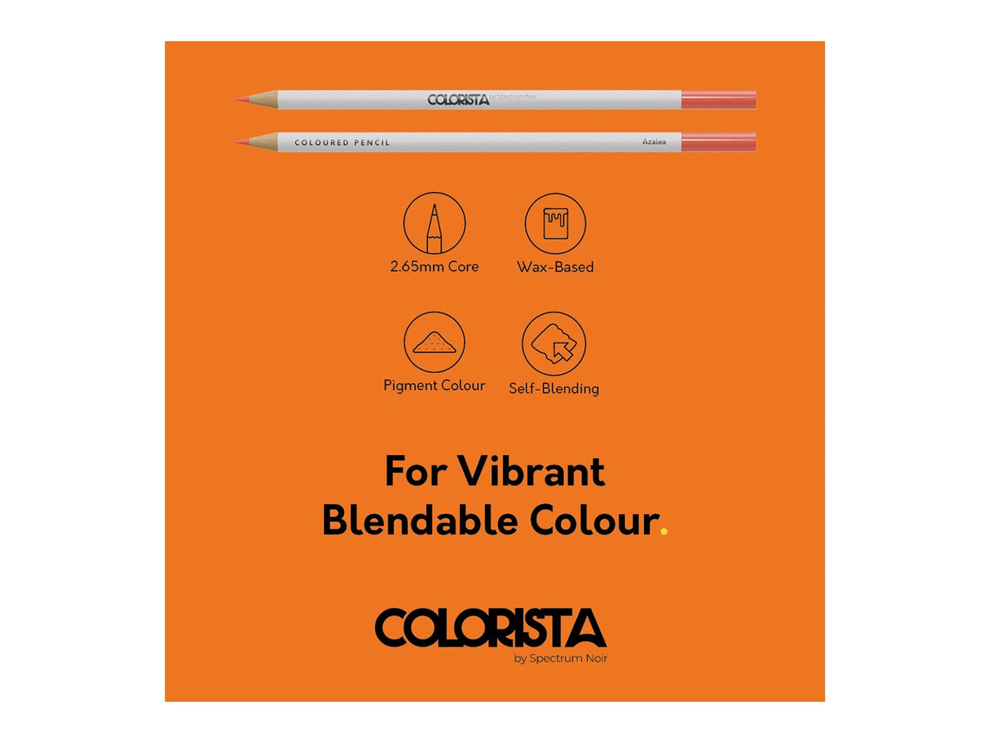 Colorista - Coloured Pencil - Perfect Portrait 12pc