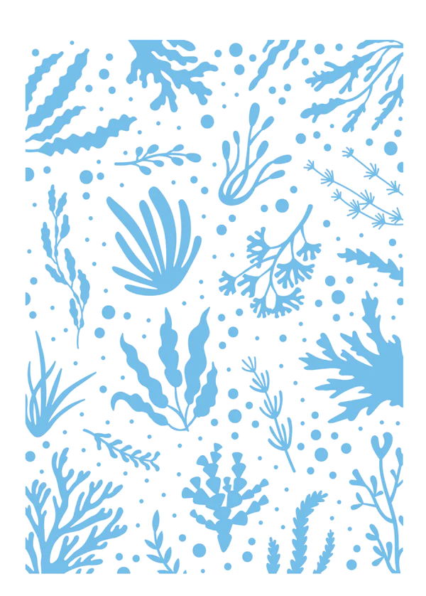 Sara Signature - Enchanted Ocean - 2D Embossing Folder - 5"x7" - Charming Coral