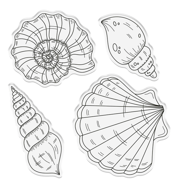Sara Signature - Enchanted Ocean - Stamp and Die - Sea Shell Collection