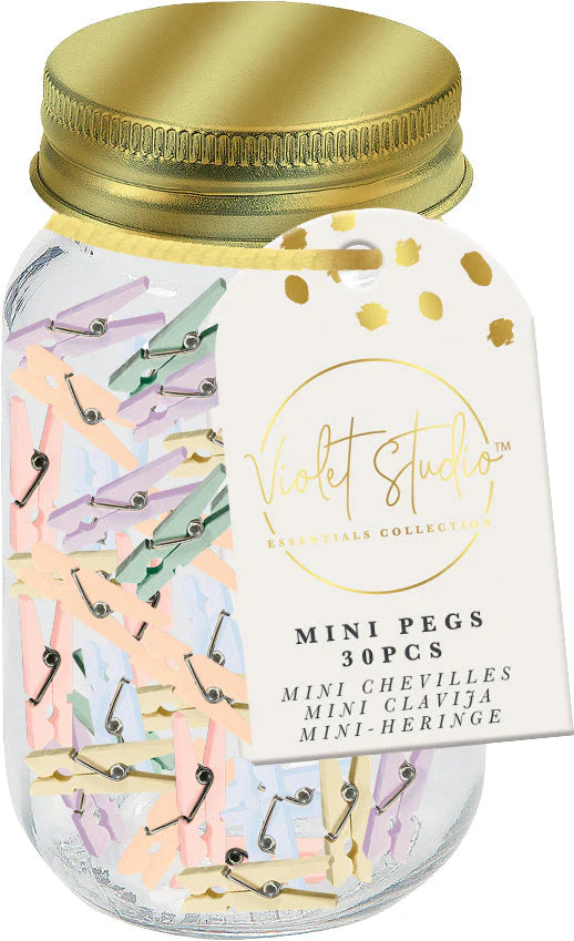 Violet Studios Mini Pegs Jar - Pastels - 30pcs