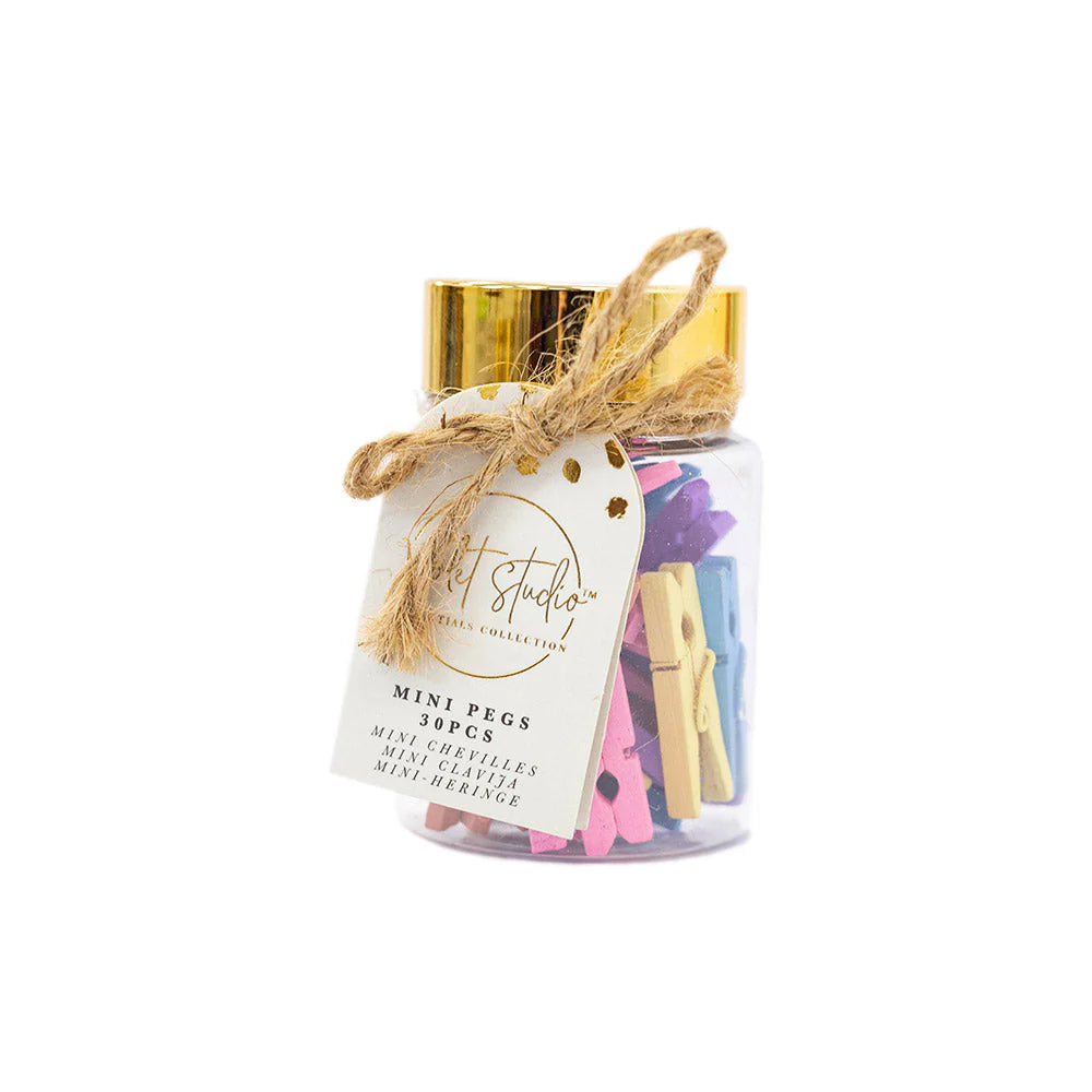 Violet Studios Mini Pegs Jar - Pastels - 30pcs