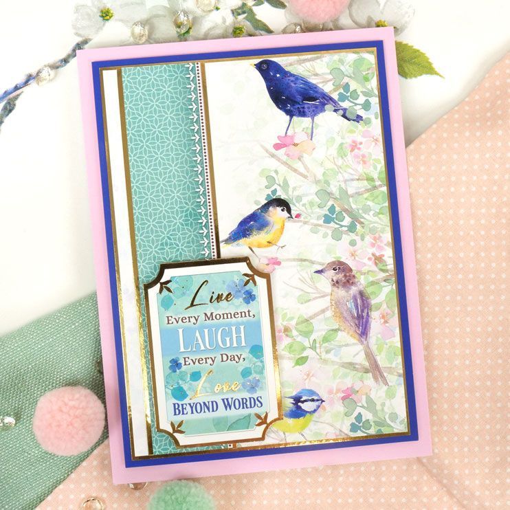 Little Wings Adorable Scorable Selection