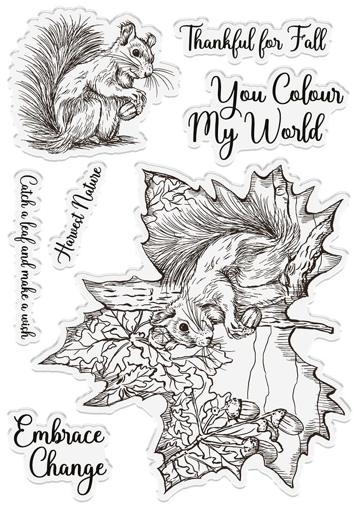 Sheena Douglass Timeless Leaves Photopolymer Stamp - Natures Harvest
