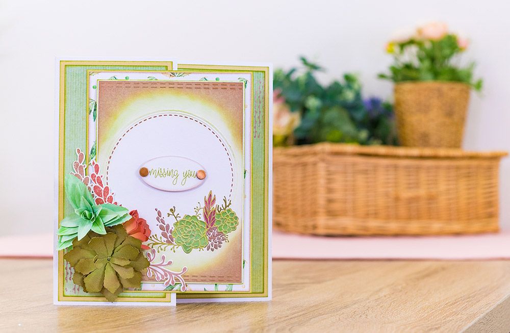 Sharon Callis - Sensational Succulents - Garden Frame