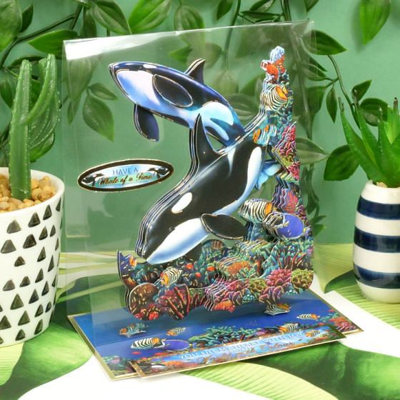 Into the Wild Deco-Large Set - A Whale of a Time