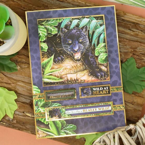 Into the Wild Deco-Large Set - Have a Wild Day