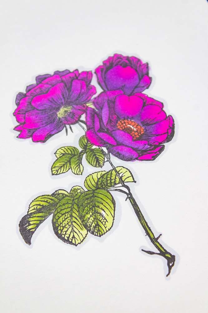 Spectrum Noir TriBlend Markers - Purple Blend