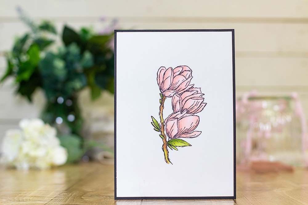 Spectrum Noir TriBlend Markers - Pale Pink Blend