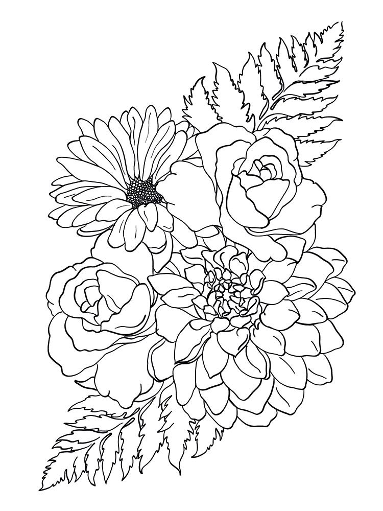 Crafters Companion Card Front Colouring Pads 3.75"X5- Butterflies And Botanics