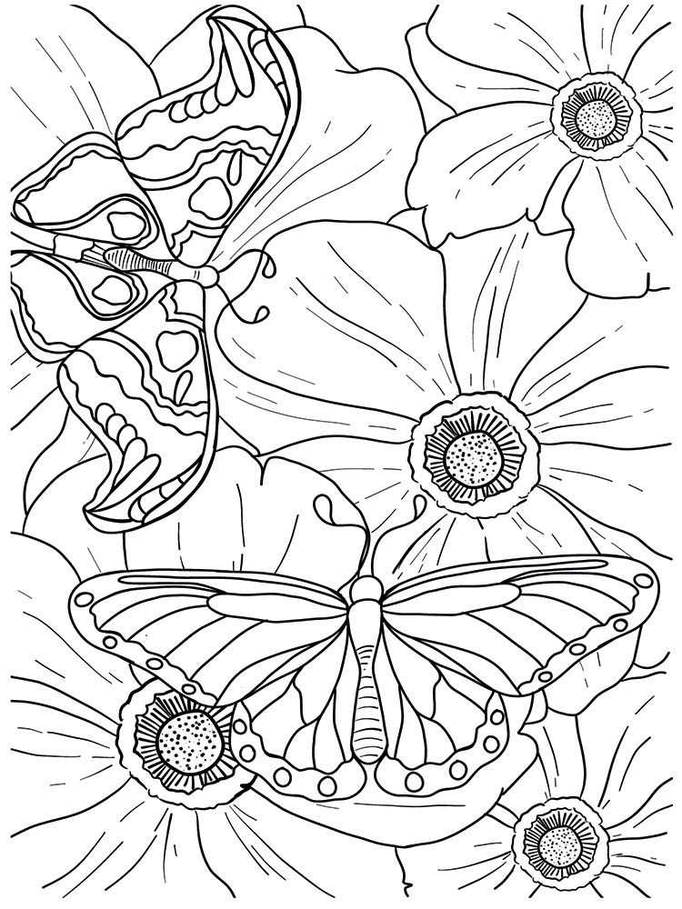 Crafters Companion Card Front Colouring Pads 3.75"X5- Butterflies And Botanics