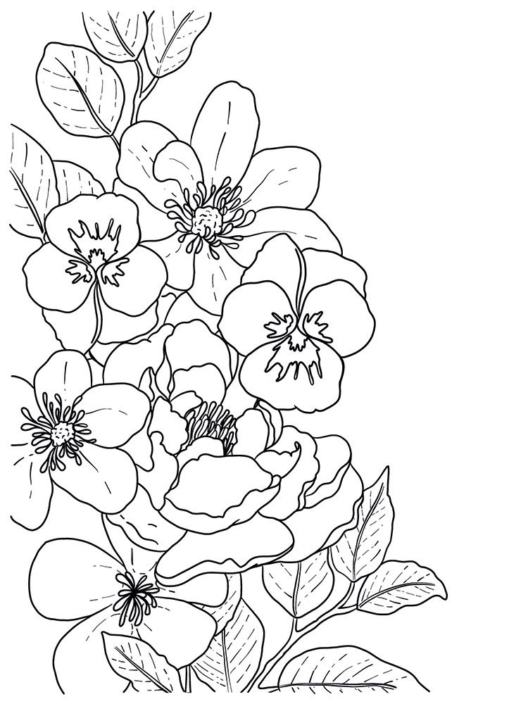 Crafters Companion Card Front Colouring Pads 3.75"X5- Butterflies And Botanics