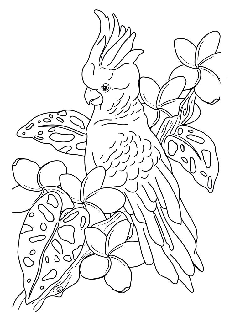 Crafters Companion Card Front Colouring Pads 3.75"X5- Floral Flight
