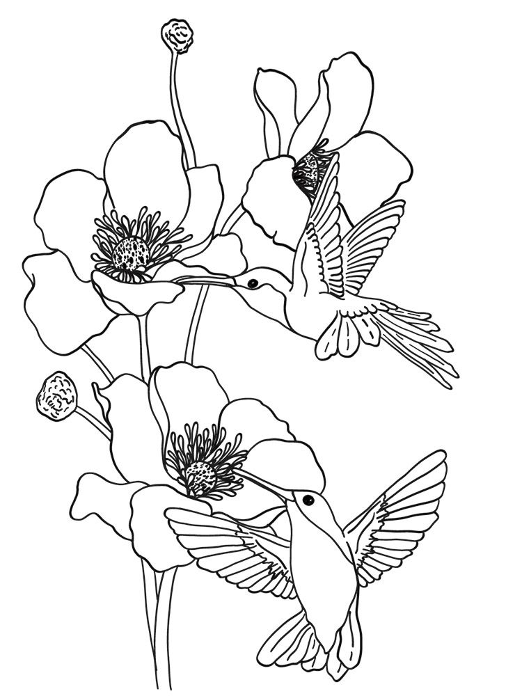Crafters Companion Card Front Colouring Pads 3.75"X5- Floral Flight
