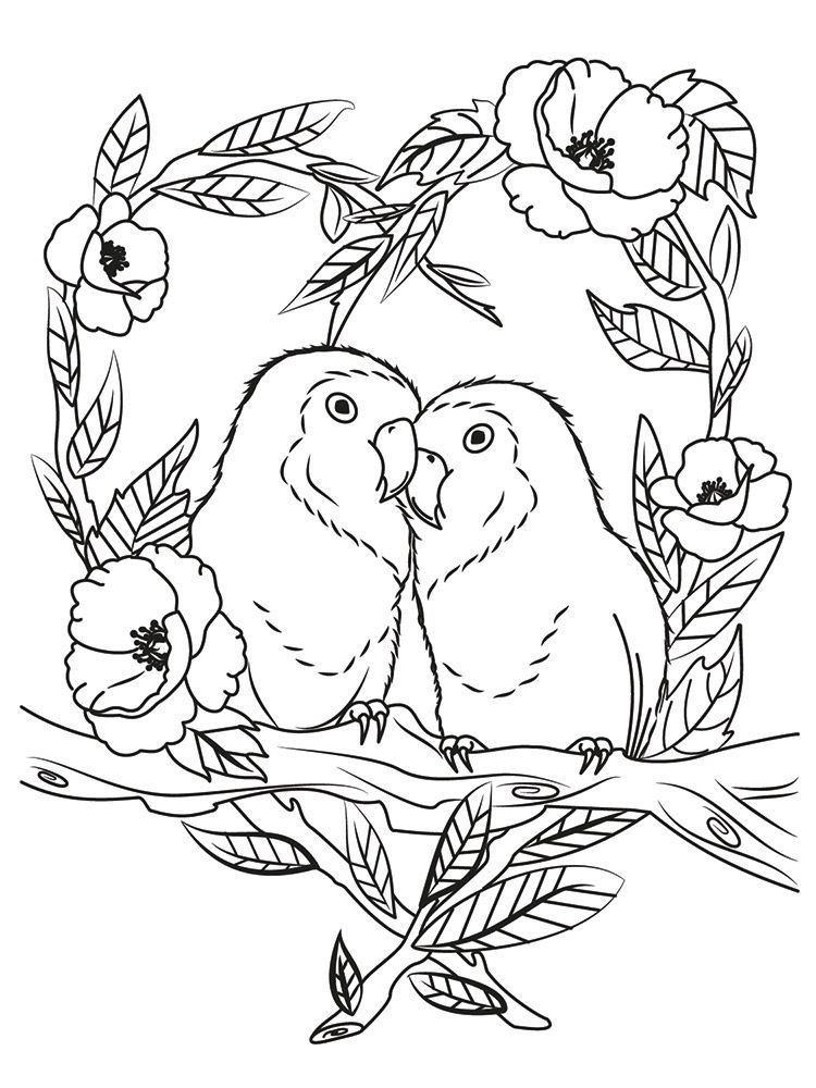 Crafters Companion Card Front Colouring Pads 3.75"X5- Floral Flight