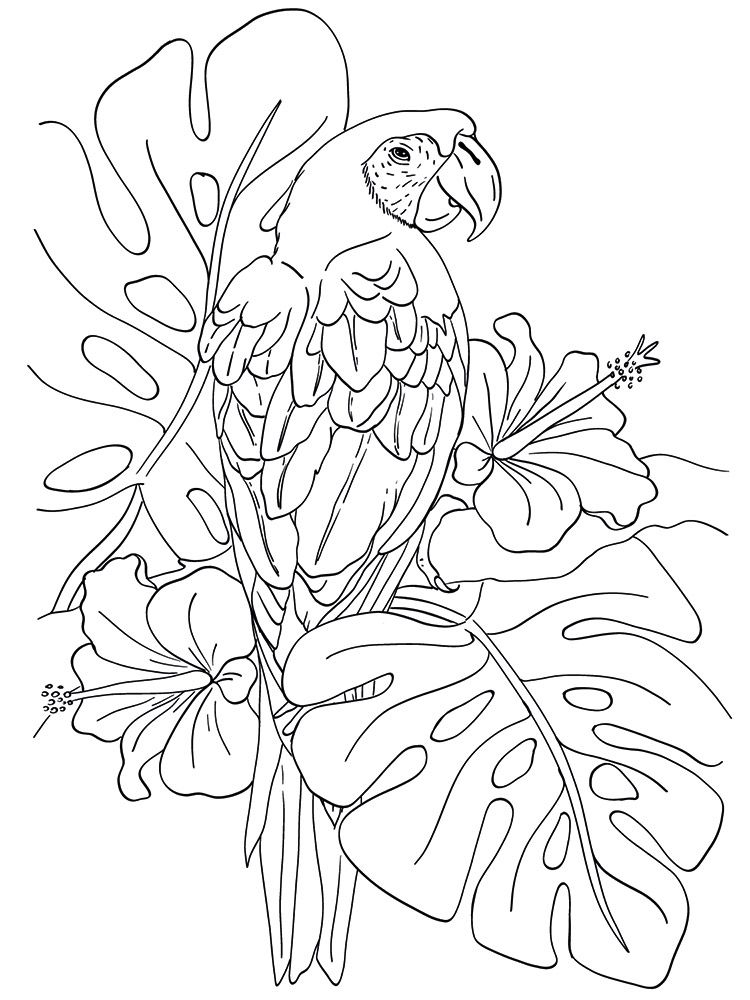 Crafters Companion Card Front Colouring Pads 3.75"X5- Floral Flight