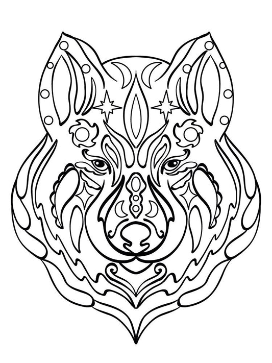 Crafters Companion Card Front Coloring Pads 3.75"X5- Spirtually Wild