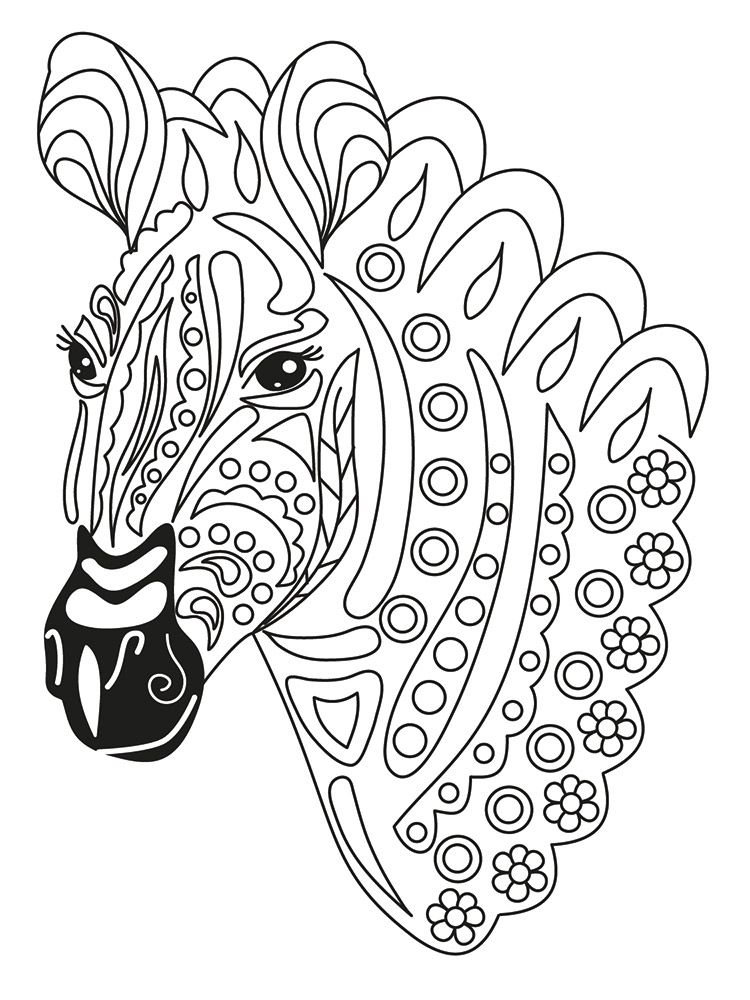 Crafters Companion Card Front Coloring Pads 3.75"X5- Spirtually Wild