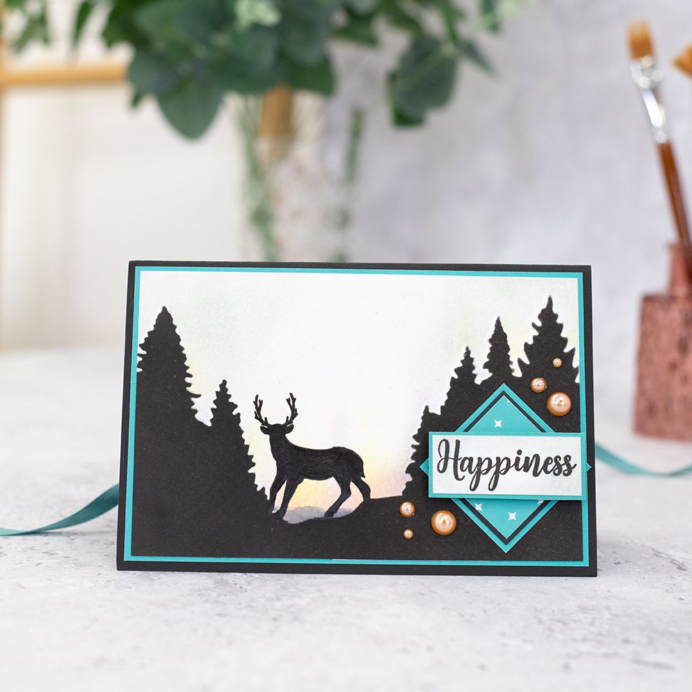 Crafter's Companion - Monthly Craft Kit -Stencils & Silhouette Stamps Box 43