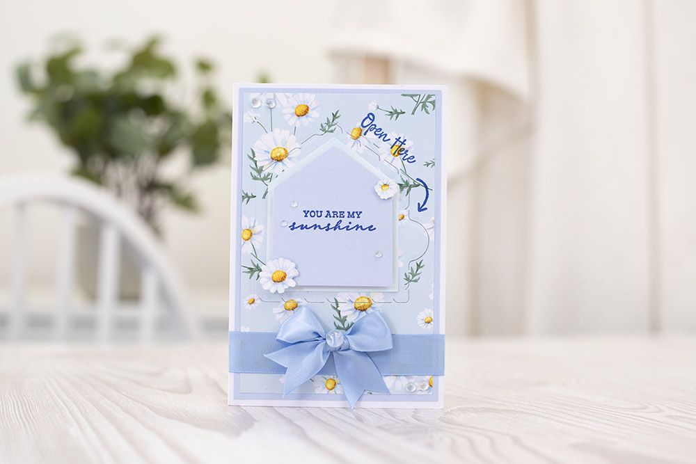 Crafters Companion Monthly Craft Kit - Door Reveal Dies Craft Kit - Box 56