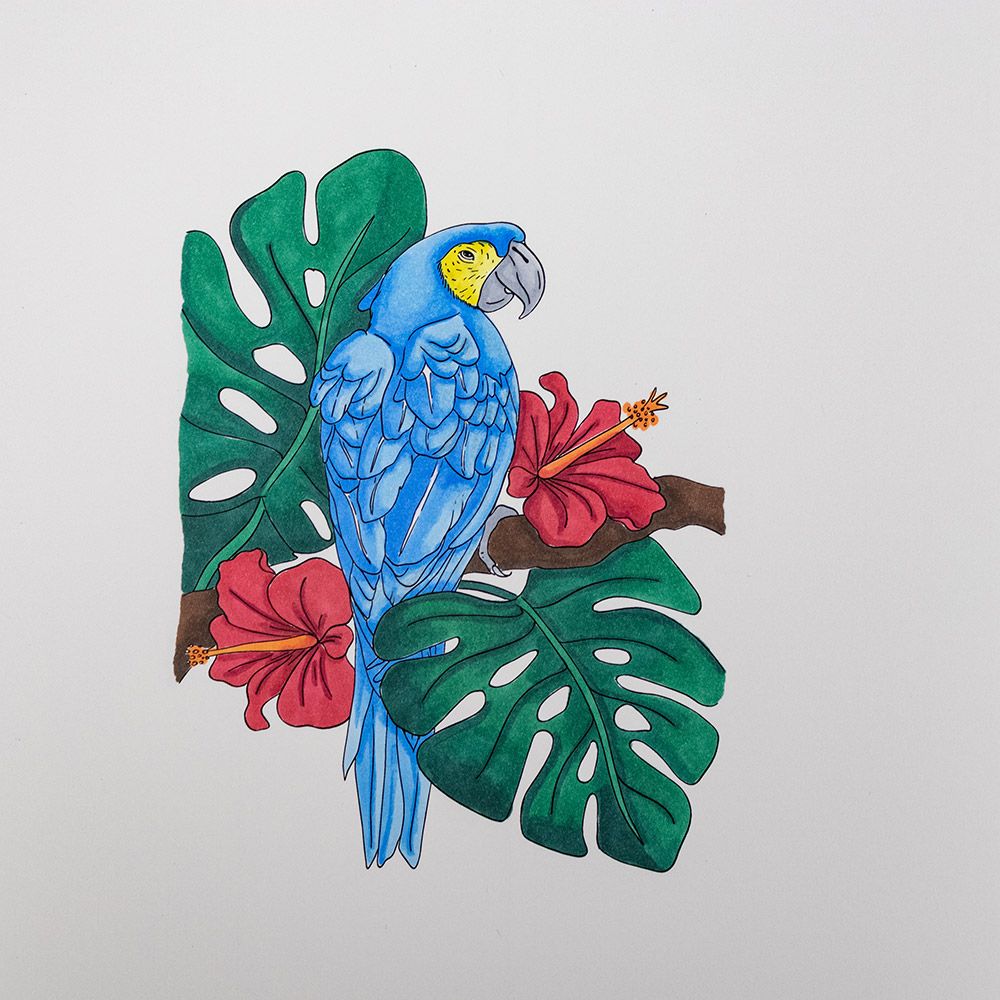 Crafters Companion Card Front Colouring Pads 3.75"X5- Floral Flight