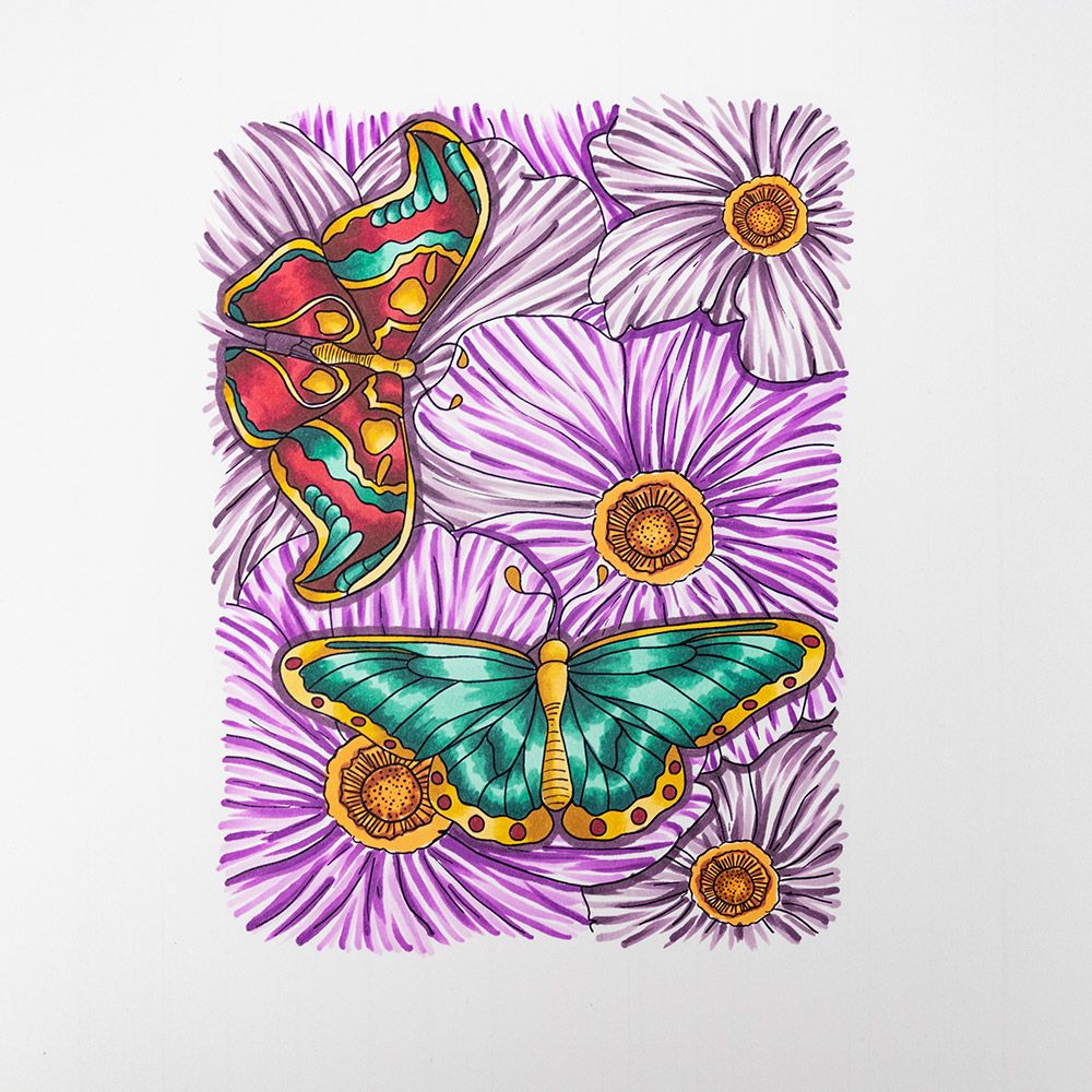 Crafters Companion Card Front Colouring Pads 3.75"X5- Butterflies And Botanics