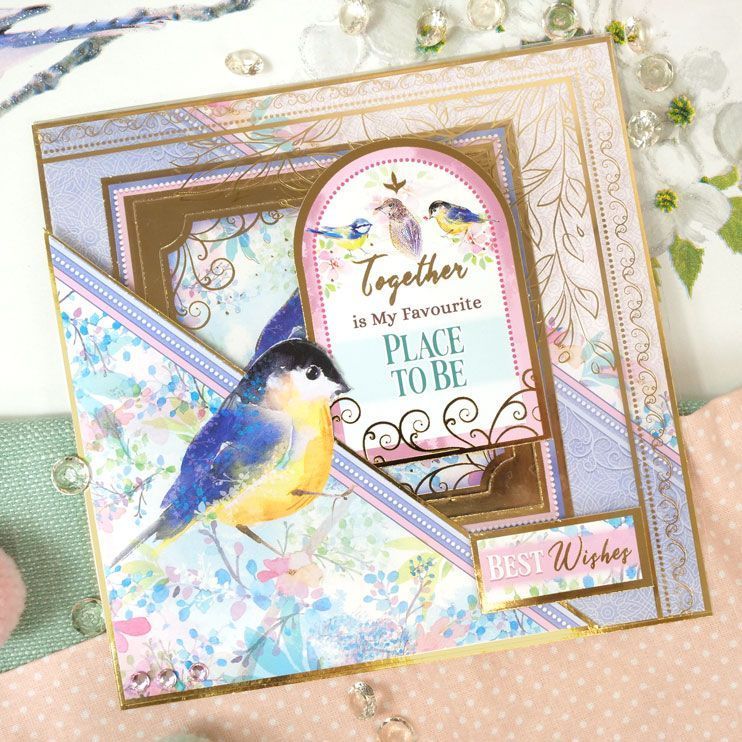 Little Wings Luxury Foiled Acetate