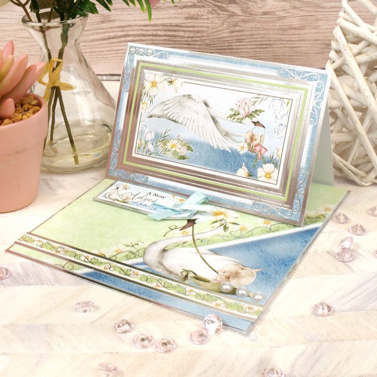 Swan Lake Deluxe Card Collection