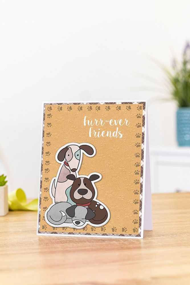 Nitwits - Pawsitivity - Stamp & Die Set - Furr-ever Friends