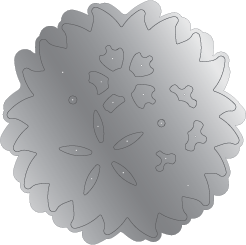 Gemini Double-Sided Layerable Topper & Image Die - Pretty Posy