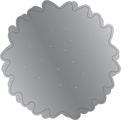 Gemini Double-Sided Layerable Topper & Image Die - Pretty Posy