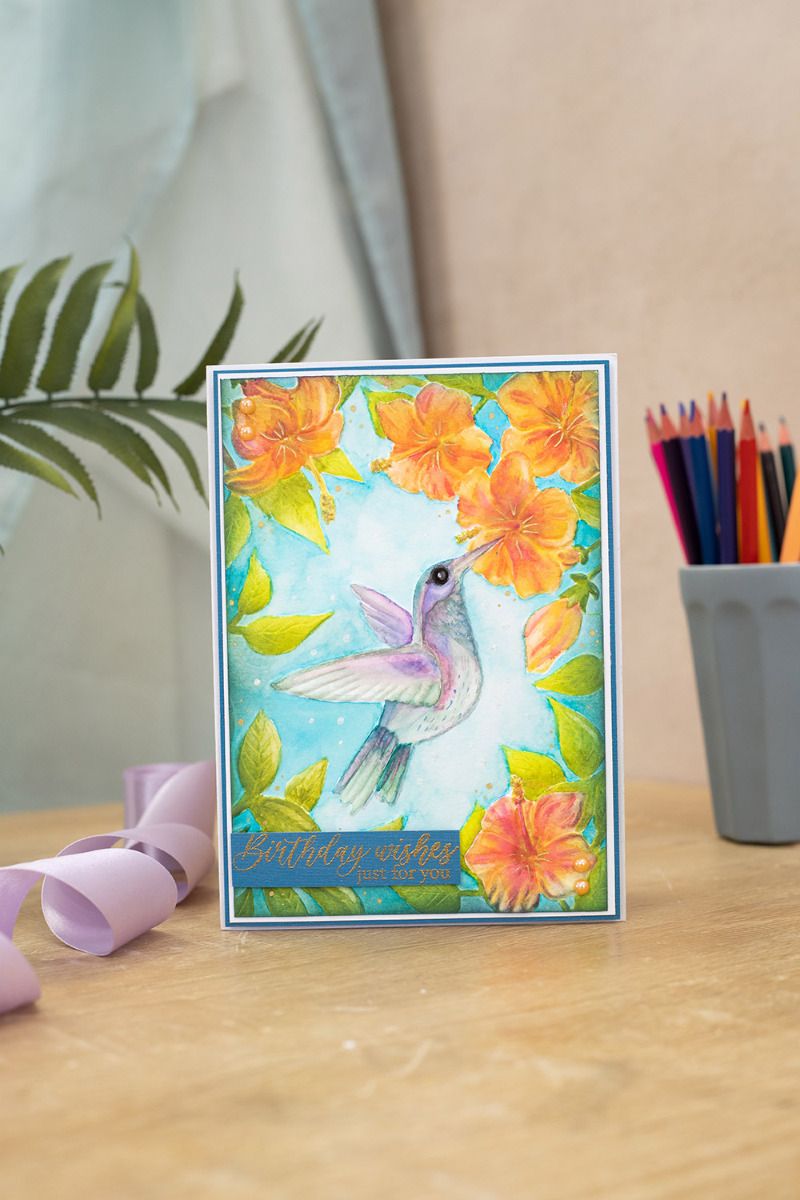 Natures Garden Hummingbird 3D Embossing Folder - Heavenly Hummingbird