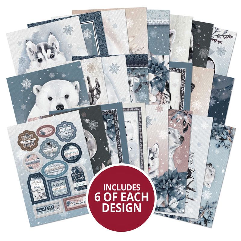 The Little Book Of Polar Animals