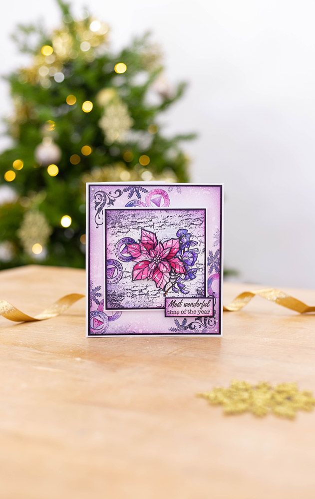 Crafters Companion - Clear Acrylic Stamp - Christmas Poinsettia
