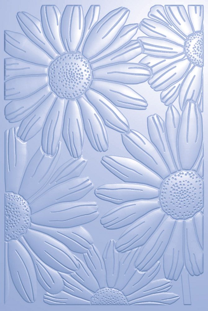 Natures Garden Delightful Daisies 3D Embossing Folder - Daisy Meadow