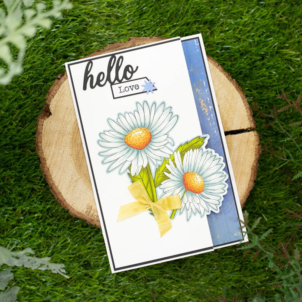 Natures Garden Delightful Daisies Stamp and Die - Daisy Bloom