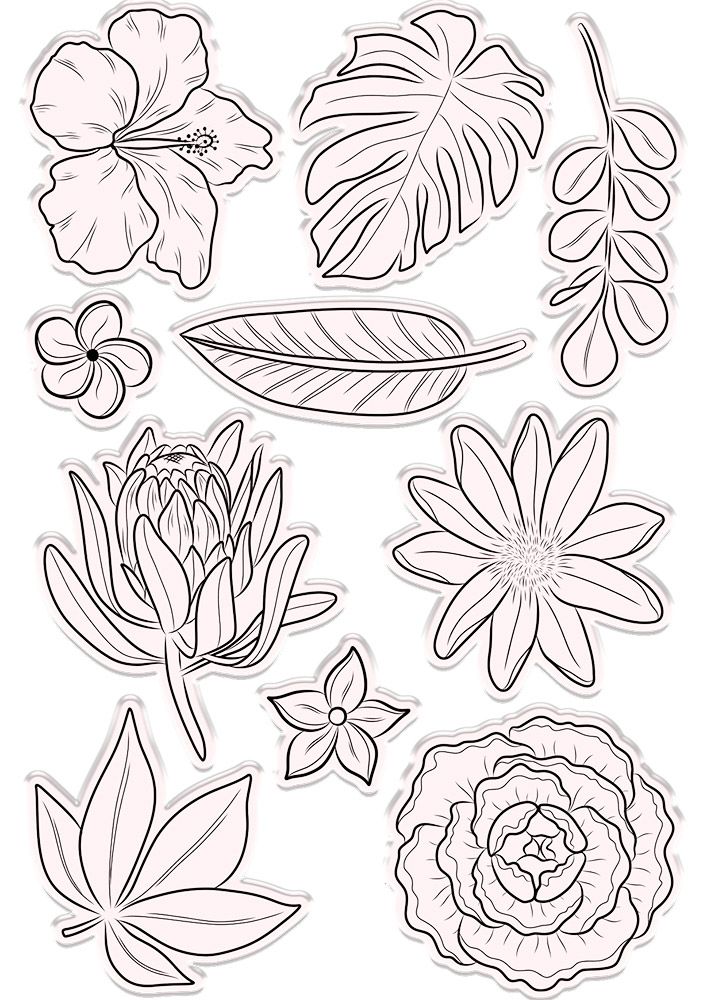 Natures Garden Hummingbird Stamp and Die – Fragrant Florals