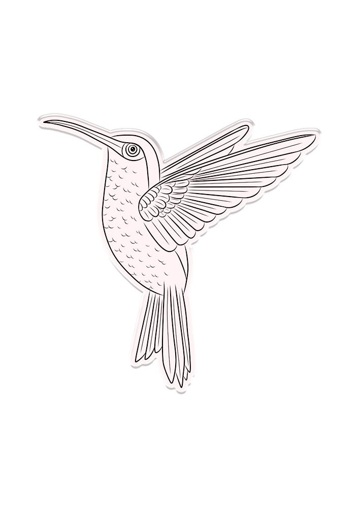 Natures Garden Hummingbird Stamp and Die – Sweet Hummingbird