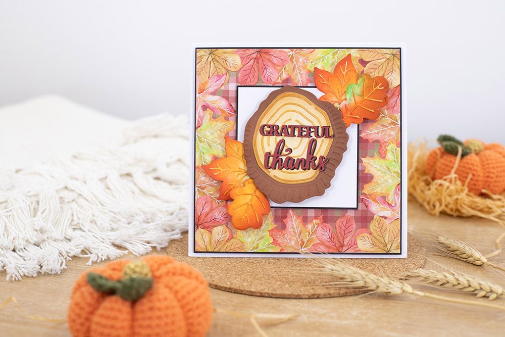 Natures Garden Autumn Blessings Collection Metal Die - Round Wood Slice