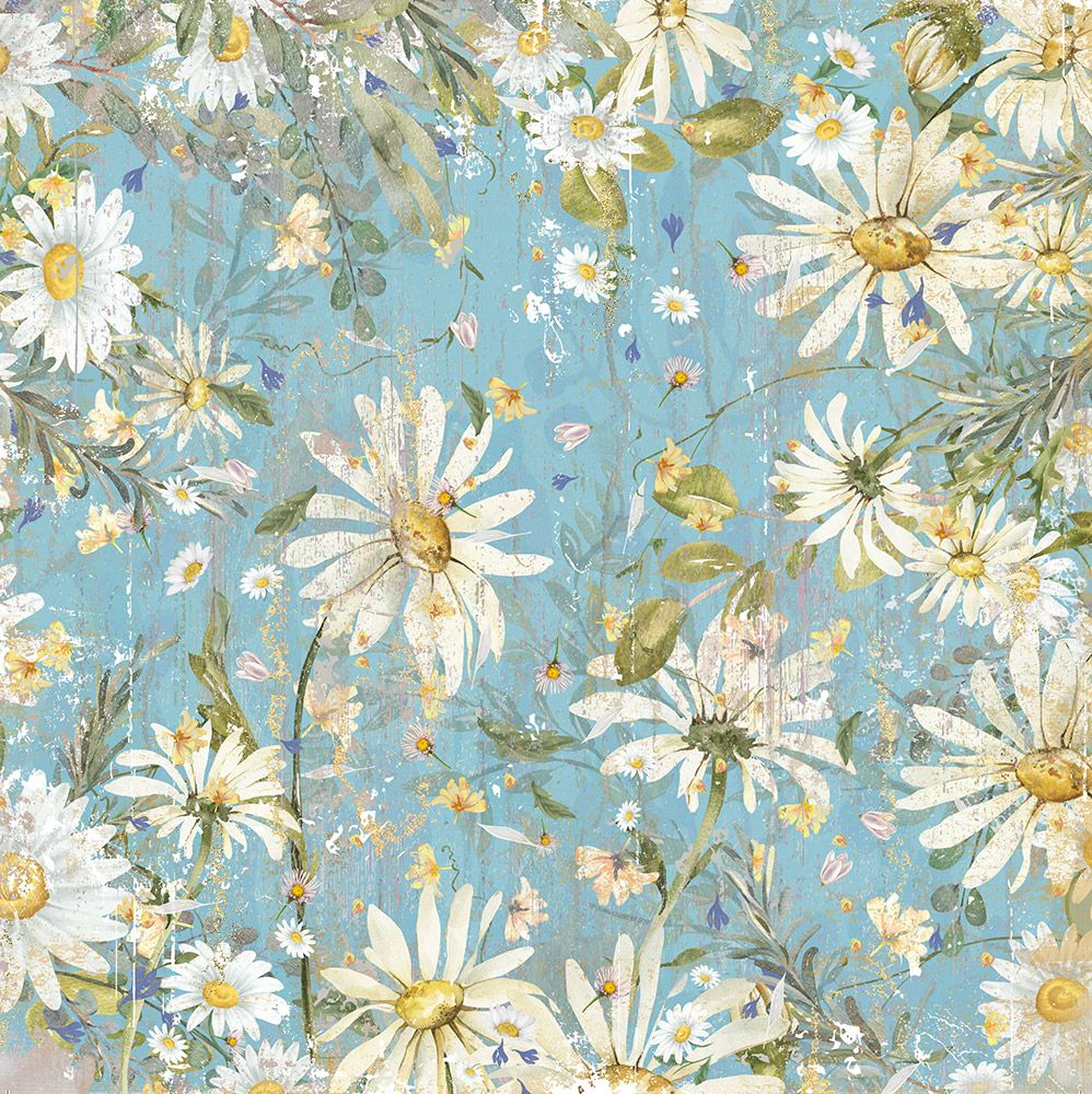 Natures Garden Delightful Daisies - 6x6 Paper Pad