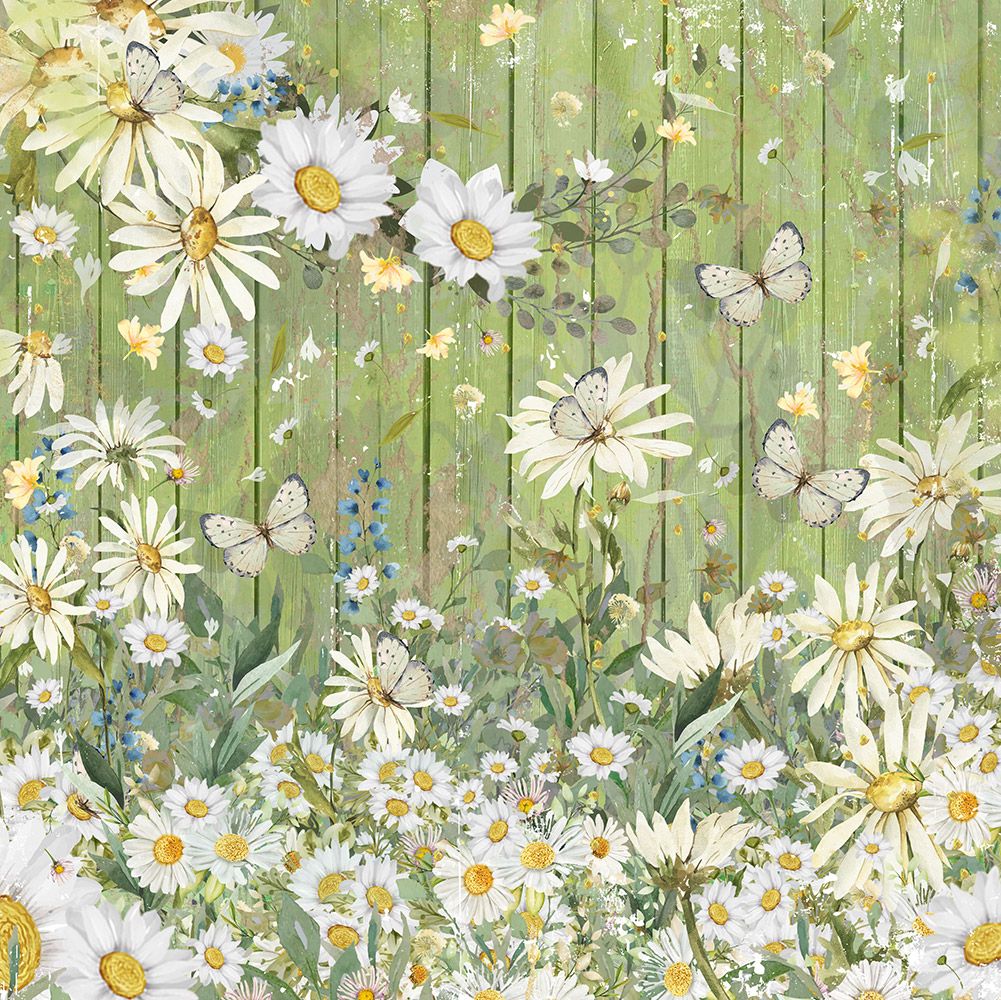 Natures Garden Delightful Daisies - 6x6 Paper Pad