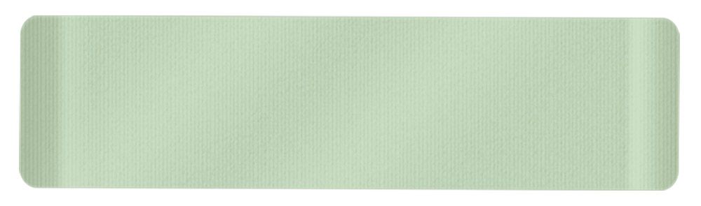 Natures Garden Delightful Daisies - Seam Binding Ribbon