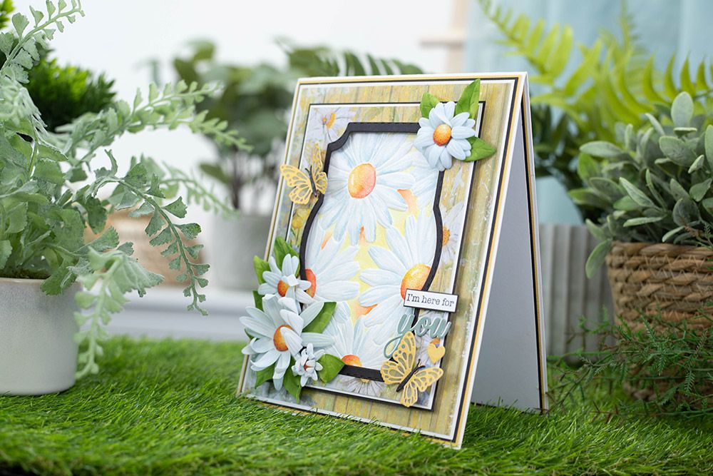 Natures Garden Delightful Daisies - 12x12 Paper Pad