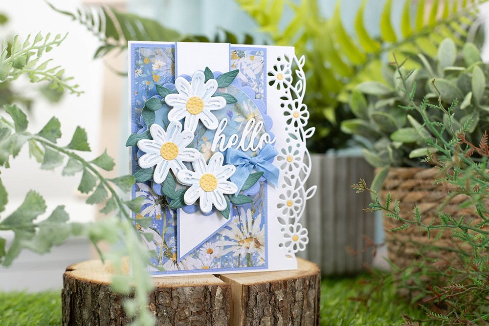 Natures Garden Delightful Daisies - Seam Binding Ribbon