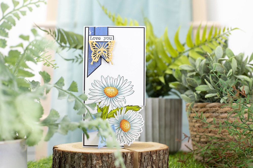 Natures Garden Delightful Daisies - 12x12 Paper Pad