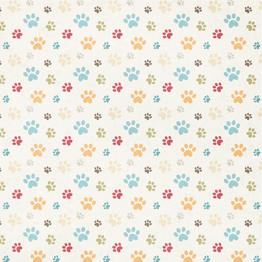 Nitwits - Pawsitivity - 12"x12" Card Pad