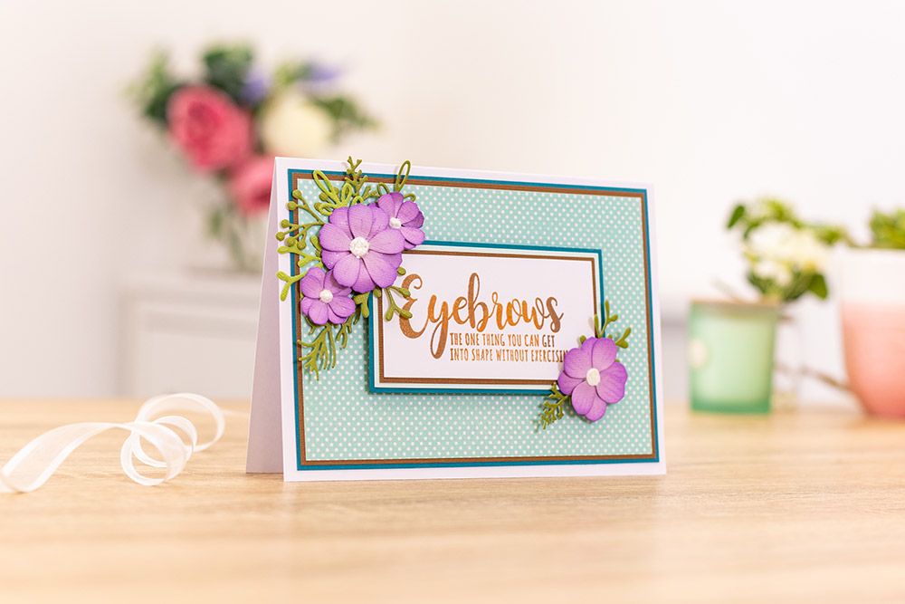 CC - Clear Acrylic Stamps - Eyebrows