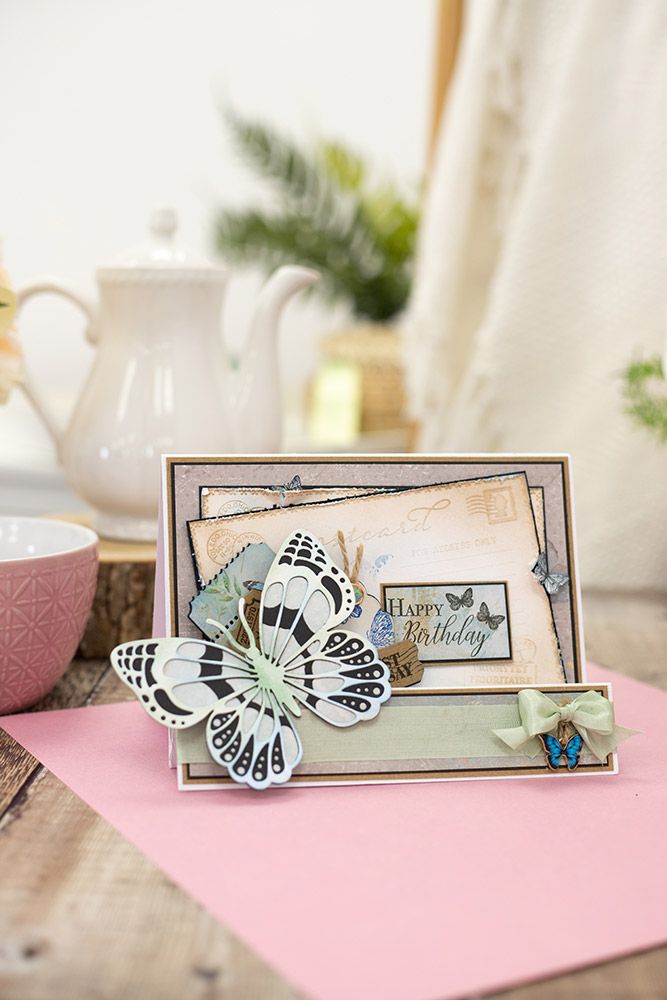 Sara Signature - Vintage Butterflies - Seam Binding Ribbon