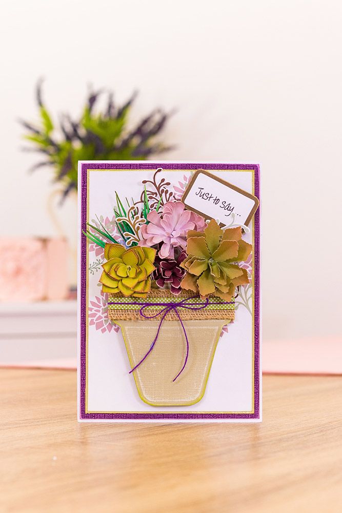 Sharon Callis - Sensational Succulents - Plant Pot