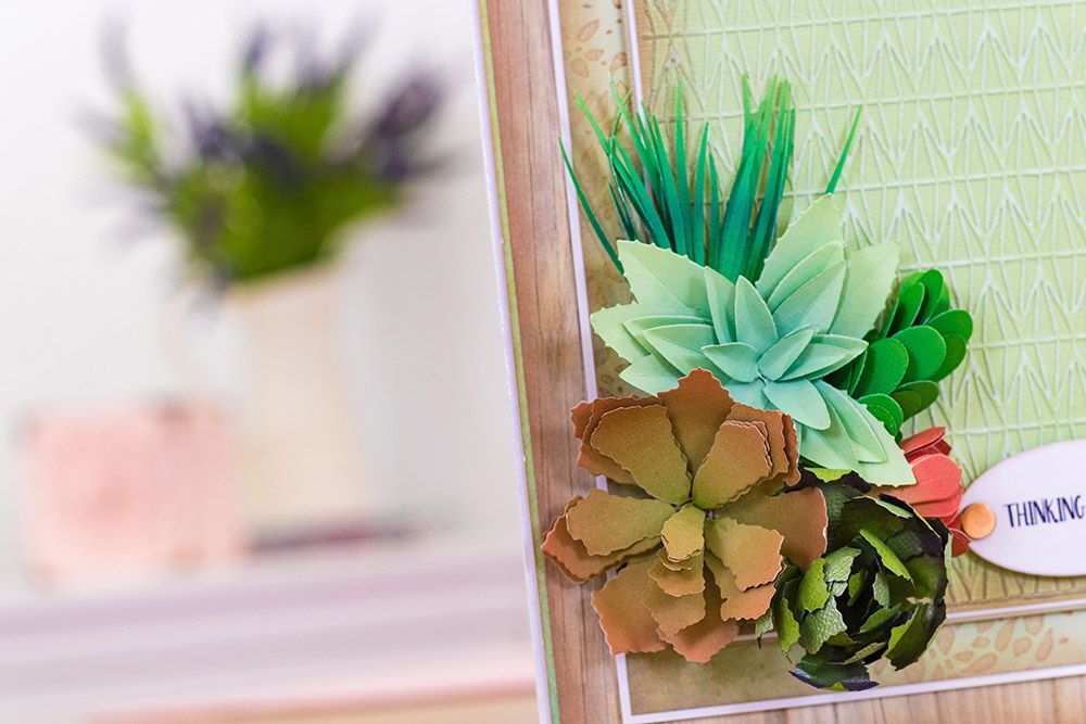 Sensational Succulents - Petal Perfection Papers
