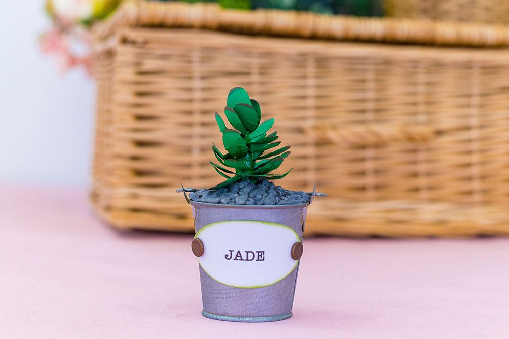 Sharon Callis - Sensational Succulents - Jade